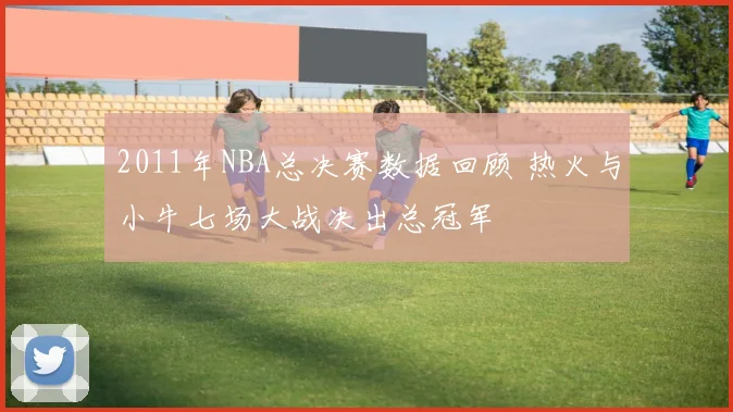 2011年NBA总决赛数据回顾 热火与小牛七场大战决出总冠军