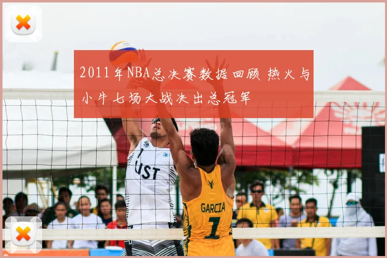 2011年NBA总决赛数据回顾 热火与小牛七场大战决出总冠军