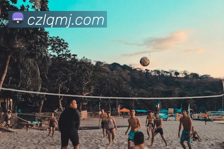 App Interface Preview